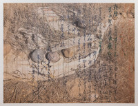 Terasaki_Dean_4