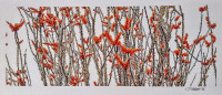 schilens_tim_4