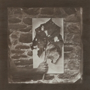 Claire A. Warden