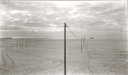 Dick Arentz