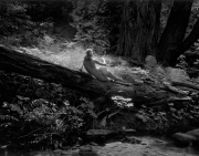 Off The Wall - Bullock_Wynn_ 1