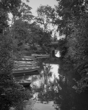 Off The Wall - Wilson_Debra_1