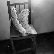 Discarded-Wings