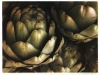Donato_Mary_1 Donato_Mary_1