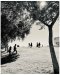 SP24-Monica-WebRez-Monica-McLean_Street-Art-Intersection-8-copy