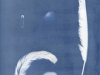 cyanotype_JP