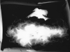 photogram_JF