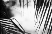 01_Natalie, Gelatin Silver Print
