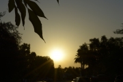 04_Olivia_DSC3007