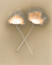 10_Hayli-1-_1300