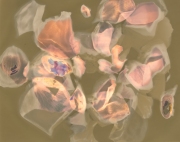 13_Sierra_Lumen-2_1300