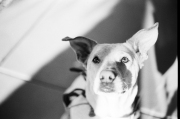 23_Natalie_Negative-14_1300