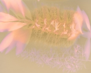 30_Maya-AH_Lumen-1_1300-3