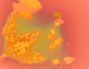 34_Parker-1-_1300