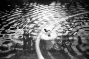 36_Alyssa_Untitled-1_1300