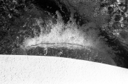 43_Faythe_Negative_1300