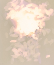 46_Hayli-2_1300