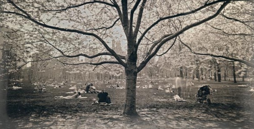 Daguerreotype Slider