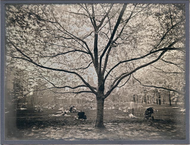 Jerry Spagnoli Daguerreotype