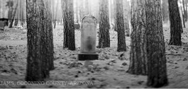 Where the Bodies are Buried