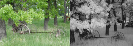 IR Merged