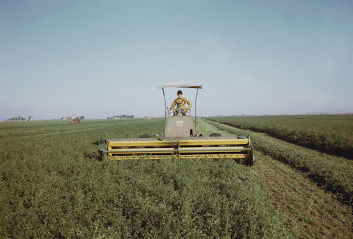 Boy on Swather_DeGideo 500x338px