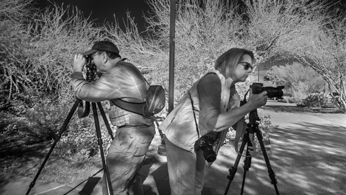 Infrared DSCF5824-Edit-1 Neil Miller