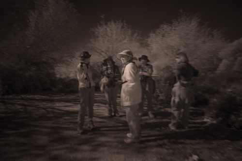 Infrared Final #1 DSCF5830-Edit-2-1 Neil Miller