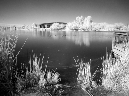 Infrared IR 33-Richard Fee