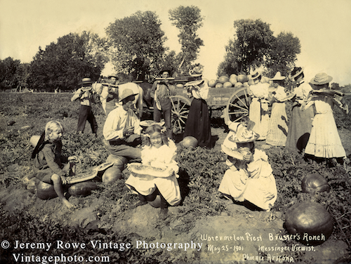 JRowe  Print_Messinger_Watermelon_Harvest_Brusheur_Ranch_1901_1A SM CR 500x376px