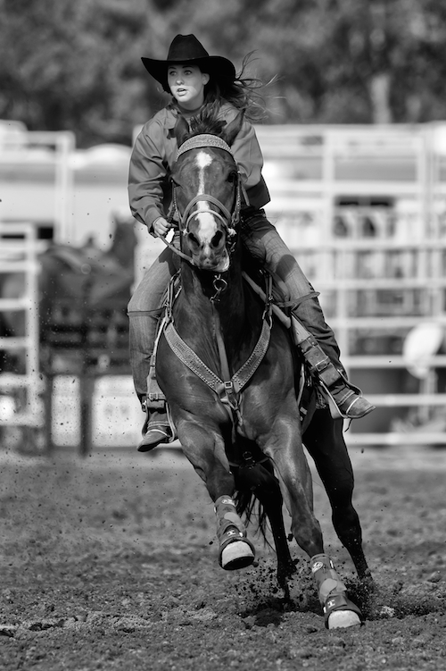 Cowgirls by Charles King Focused 500x751px