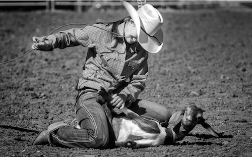 Cowgirls Charles King 4. 7 seconds flat 500x311px