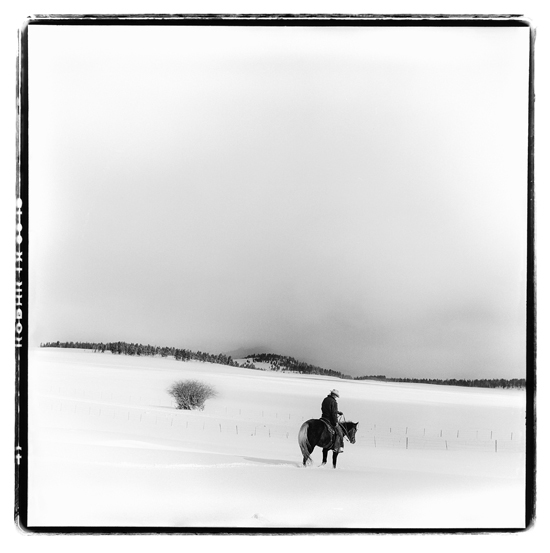 First Snow.16x16.pigmentarchivalprint