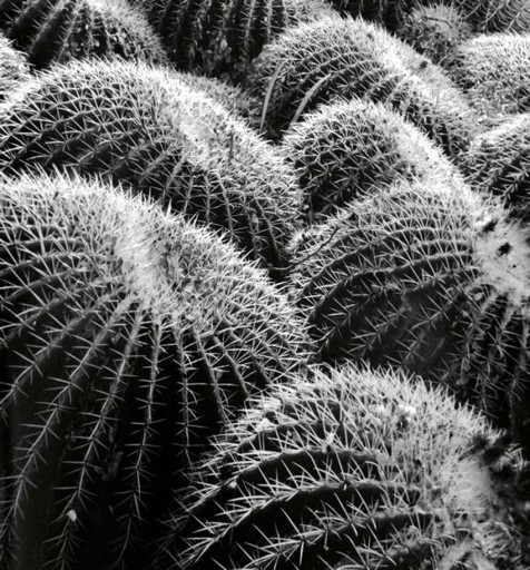 Kitts_John_#4_850px