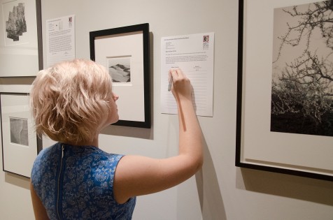 Bidding at Off the Wall 2015_1500px