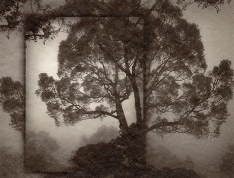 Utopia 2, 2013, Jennifer Schlesinger