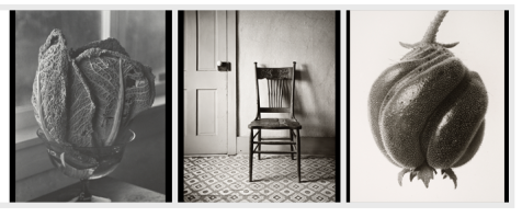 Left: Johan Hagemeyer, Untitled, 1930s. Collection Center for Creative Photography, © 2013 Jeanne Hagemeyer, all rights reserved. Middle: Wright Morris, Straightback Chair, Norfolk, Nebraska, The Home Place, 1947. Collection Center for Creative Photography, © 2003 Center for Creative Photography, Arizona Board of Regents. Right: Karl Blossfeldt Blumenbachia hieronymi. Geschlossene Samenkapsel, 18mal vergrössert, 1900. Collection Center for Creative Photography.