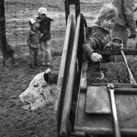 Scott T. Baxter_Working the Land_800
