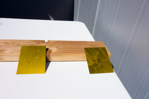 HymerPhotogravure_800-