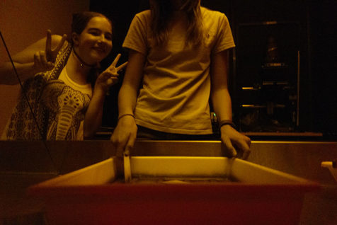 DSC01327_800