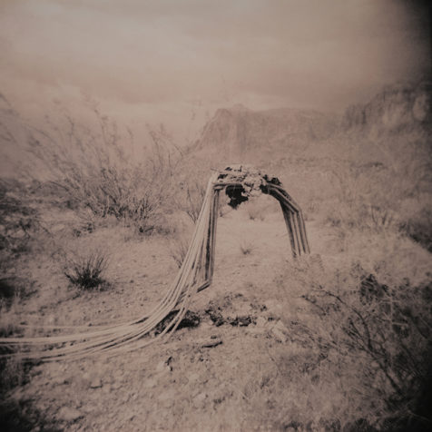 Skaggs_BK_1_800px