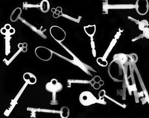 photogram example