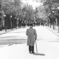 Luigi Luccarelli